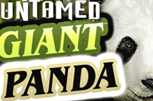 panda slot machines