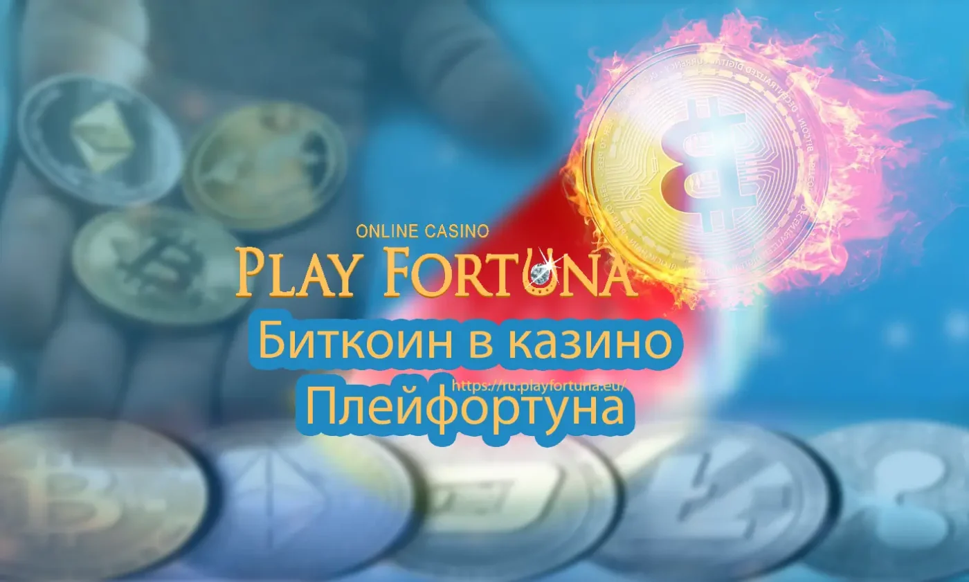 bitcoin casino Playfortuna